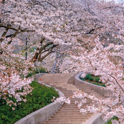 寒山寺+狮子林+拙政园+乌镇+西湖风景名胜区+千岛湖中心湖区6日5晚私家团