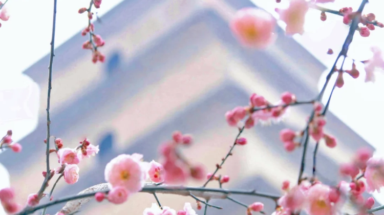 4-D Private Tour: Xi'an, Emperor Qinshihuang's Mausoleum Site Museum, Huaqing Palace, Xi'an City Wall, Shaanxi History Museum, The Song of Everlasting Regret Tang Poetry Relief·  