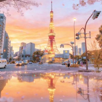 日本东京+迪士尼（Disney）5日4晚私家团