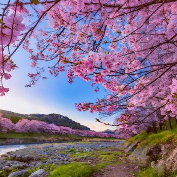 日本北海道7日6晚私家团