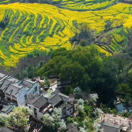 江西南昌+庐山+景德镇+婺源5日4晚跟团游