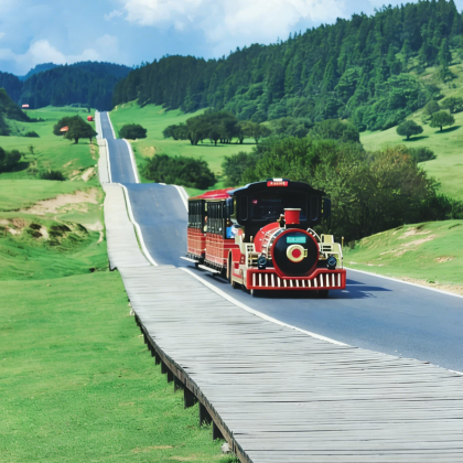 重庆+武隆区+涪陵区5日4晚私家团