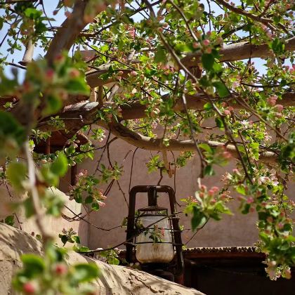 宁夏银川+中卫腾格里沙漠5日4晚私家团