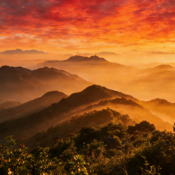 广东惠州+惠东+海龟自然保护区+广东罗浮山风景名胜区3日2晚自由行