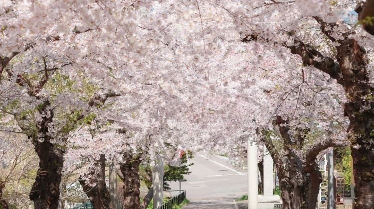 2D1N · Private Tours · Japan + Sapporo