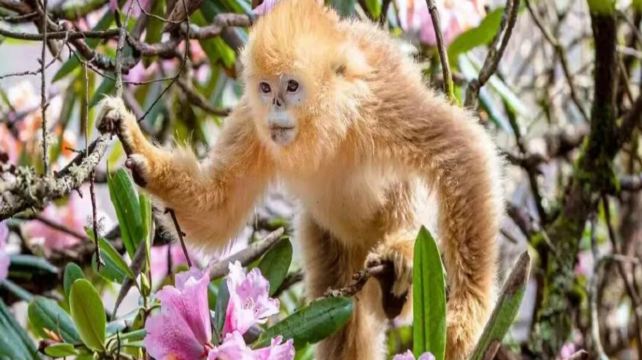 神农架、宜昌+2