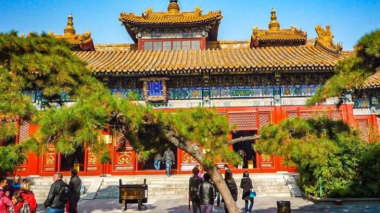 14D13N · Group Tours · 14-Day Small-Group Tour to Beijing, Xi'an, Chengdu, Yangtze, Chongqing, Shanghai