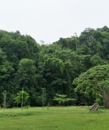 2D1N • Borneo Combo Adventure
