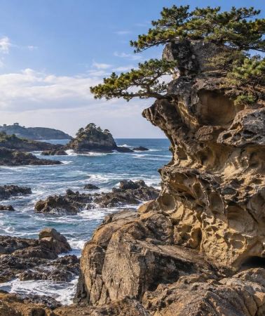 2D1N • From Tokyo: 2-Day Noto Peninsula & Wajima Private Tour