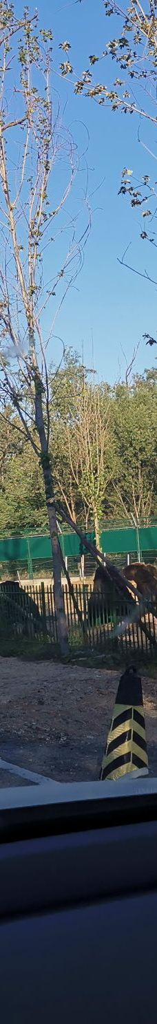 秦皇岛野生动物园-秦皇岛