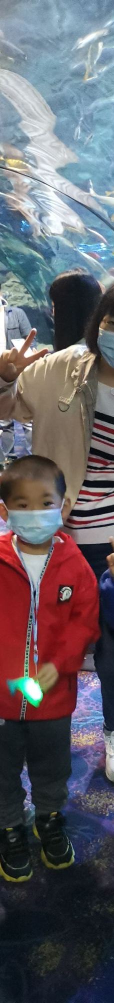 郑州海洋馆-郑州