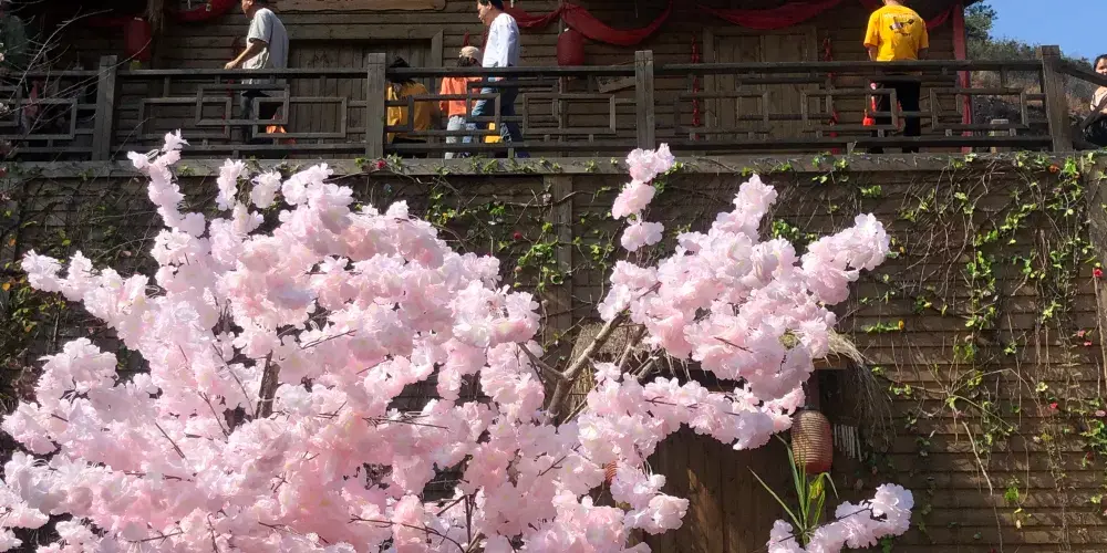永安旅遊
