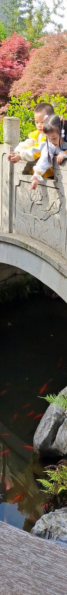 宁波植物园-宁波