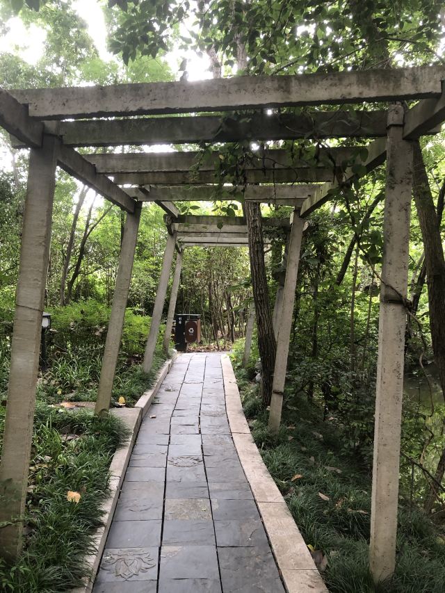刘园古徽州文化园旅行图片 7