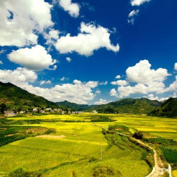 广西南宁+长寿村+百魔洞+巴马百鸟岩4日3晚私家团