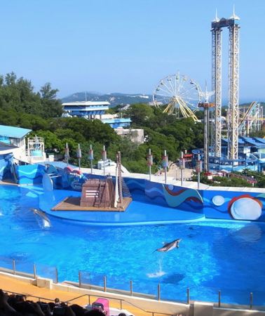 5D4N • Hong Kong + Hong Kong Disneyland + Ocean Park · 4-night stay at a city hotel - Includes 2-park admission + pick-up and drop-off