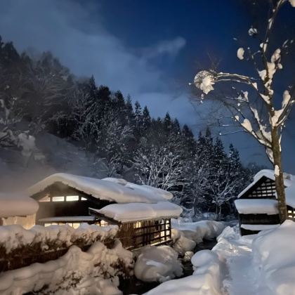 日本仙台+一关市+角馆+会津若松市+日光市11日10晚私家团