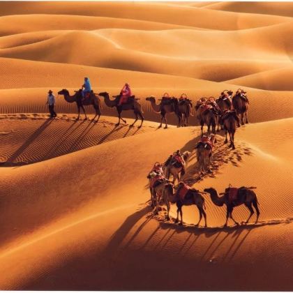 甘肃景泰+兰州+宁夏中卫+固原6日5晚私家团