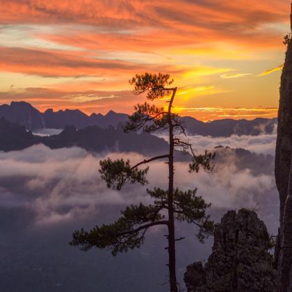 武汉+恩施市+两坝一峡+神农架8日7晚私家团