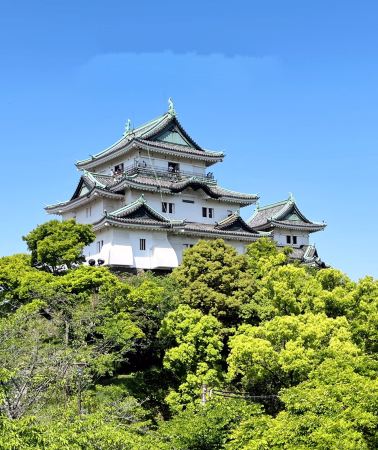 5D4N • Kansai - Wakayama Area hotel- Wakayama Prefecture - Uji - Osaka