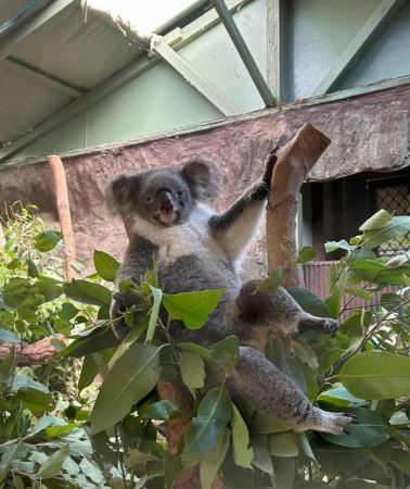 2D1N • Kuranda Rainforest + Great Barrier Reef Cruise, Australia
