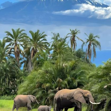 肯尼亚9日8晚拼小团