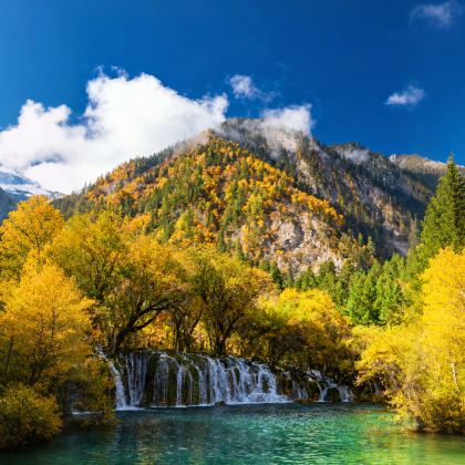 成都+九寨沟+黄龙风景名胜区+峨眉山+乐山大佛7日6晚跟团游