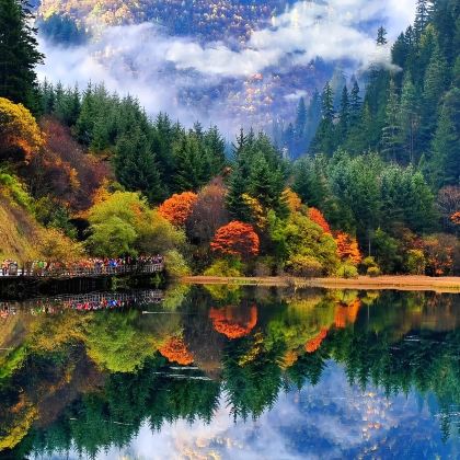 成都+九寨沟风景区+黄龙风景名胜区+三星堆博物馆5日4晚自由行