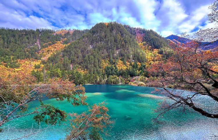 8-day 7-night · Group Tours · Jiuzhaigou National Park + Chengdu + Emeishan + Leshan Giant Buddha · Explore the iconic sites of Sichuan with this exceptional trip. Delight in dining at specially chosen restaurants and stay in meticulously selected hotels. An experienced English-speaking guide will accompany you throughout your sightseeing adventures, and a well-maintained tour vehicle will be at your service for the entire journey.