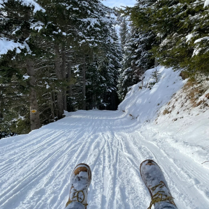 法国巴黎+斯特拉斯堡+瑞士采尔马特+少女峰16日14晚拼小团