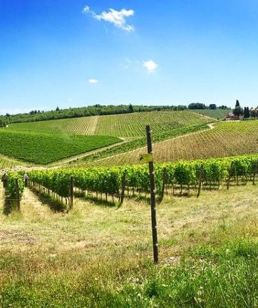 3D2N • 3-Day Tuscany Wine Tour Experience from Florence