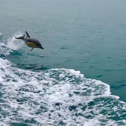 新西兰10日9晚私家团