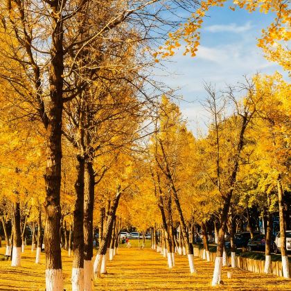 宁波2日1晚私家团