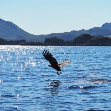 芬兰罗瓦涅米+挪威特罗姆瑟+塞尼亚岛+罗弗敦群岛9日8晚拼小团