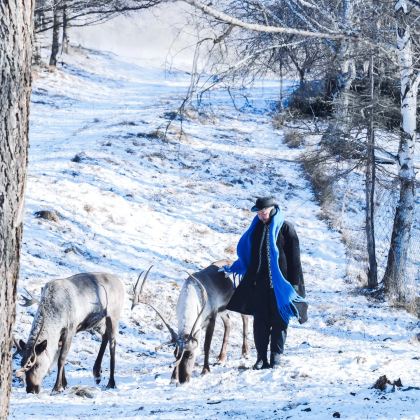 张家口+承德+坝上6日5晚私家团