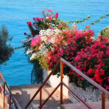 土耳其+希腊14日11晚跟团游