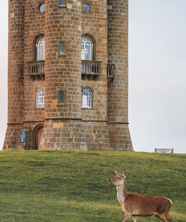 2D1N • United Kingdom +  Stratford-upon-Avon + Cotswolds AONB