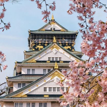 日本名古屋+飞弹高地+下吕市5日4晚私家团