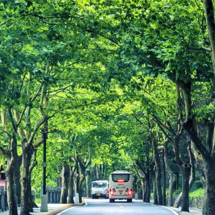 江西南昌+庐山风景名胜区5日4晚跟团游