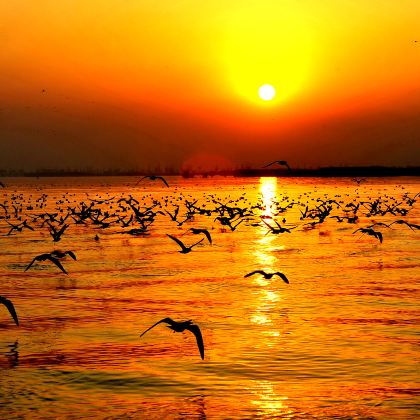 宁夏银川+中卫沙坡头6日5晚私家团