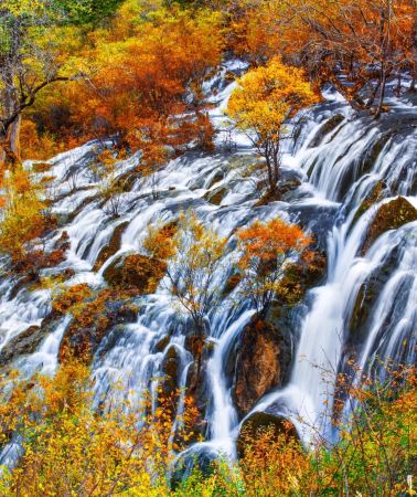 6D5N•Chengdu + Jiuzhaigou + Huanglong National Scenic Area + Sanxingdui Museum