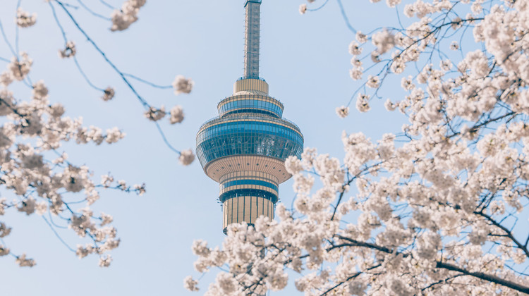 衡阳旅行社沙漠越野激情之旅引领行业新标杆