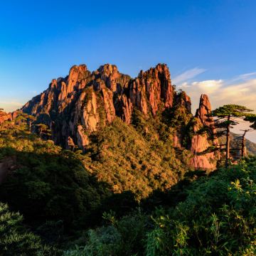 景德镇+婺源+三清山风景区3日2晚跟团游