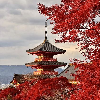 日本大阪+京都6日5晚私家团