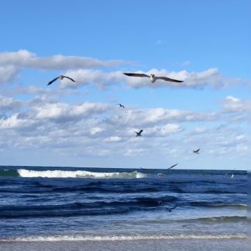 澳大利亚黄金海岸3日2晚跟团游