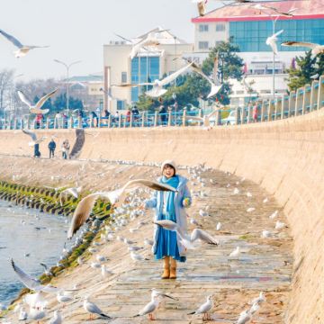 青岛+威海+烟台+蓬莱区+长岛南北长山旅游景区6日5晚私家团