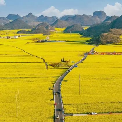 昆明+罗平+元阳+建水+弥勒+普者黑风景区+广南+抚仙湖8日7晚拼小团