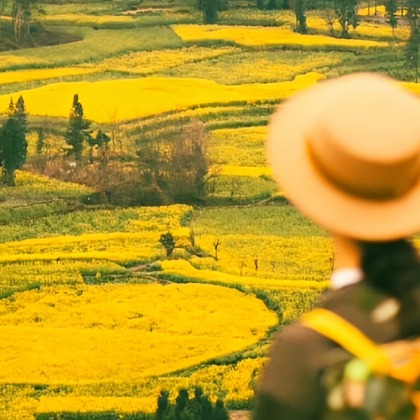 云南昆明+罗平+建水+元阳+弥勒5日4晚拼小团