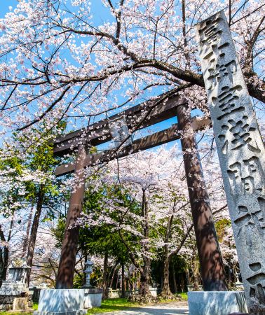 3日2晚 • 日本河口湖＋富士山