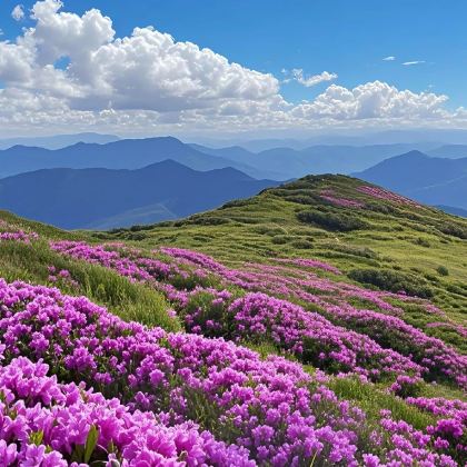 神农架3日2晚拼小团